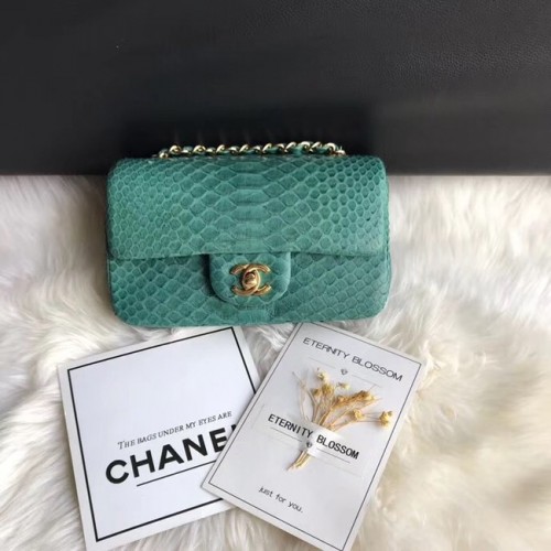 Chanel Mini Flap Bag Python Goldfarbenes Metall A69900 grün