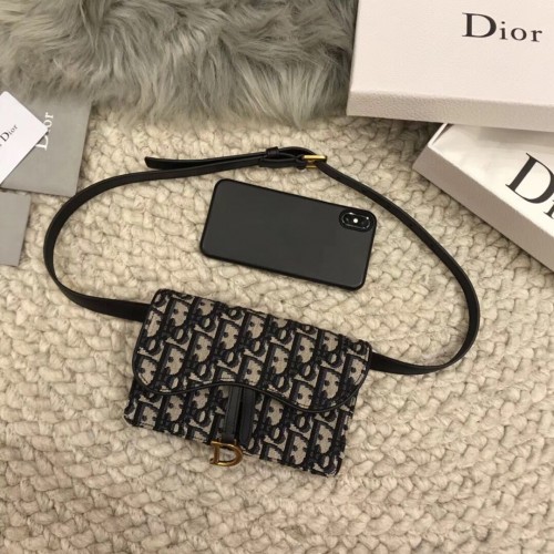 DIOR Oblique Gürteltasche D26988