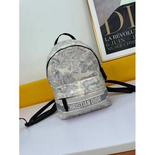 DIOR KLEINER DIORTRAVEL RUCKSACK M6108 grau