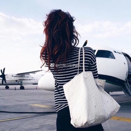 Goyard Kalbsleder Tragetasche 6783 Weiß