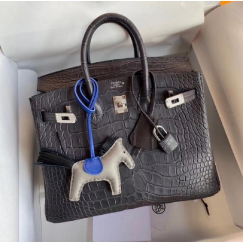 Hermes Birkin 25CM Einkaufstasche Original Krokoleder H25TCO Grau