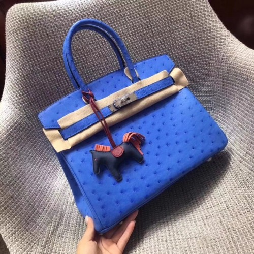 Hermes Echt Straußenleder Birkin Tasche BK35 blau