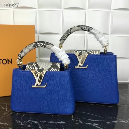Louis Vuitton CAPUCINES MINI M99676 blau