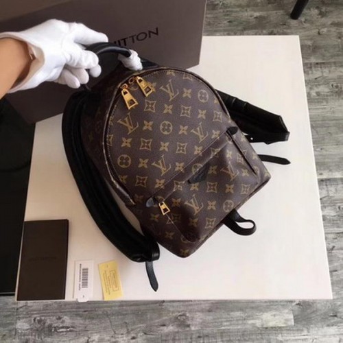 Louis Vuitton Monogram Canvas PALM SPRINGS RUCKSACK PM M41560