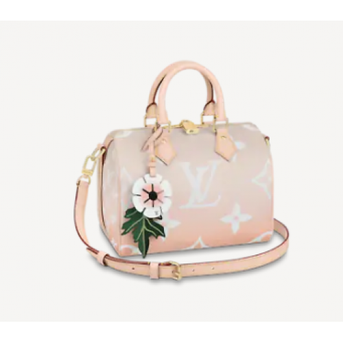 Louis Vuitton SPEEDY BANDOULIERE 25 M45722 Braungrau