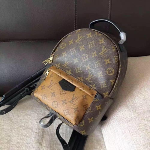 Louis Vuitton Monogram Canvas Palm Springs Rucksack Mini M41562