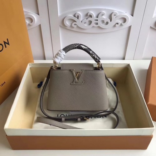 Louis Vuitton original CAPUCINES MINI N94047 grau