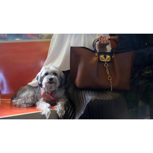 VALENTINO Origianl-Ledertasche 2080 braun